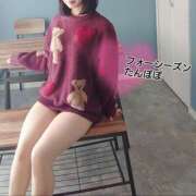 ヒメ日記 2026/04/10 13:36 投稿 たんぽぽ フォーシーズン