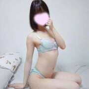 ヒメ日記 2026/04/15 22:08 投稿 たんぽぽ フォーシーズン