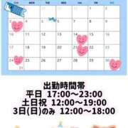 ヒメ日記 2026/04/23 07:08 投稿 たんぽぽ フォーシーズン