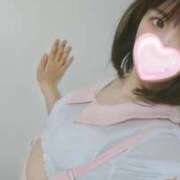 ヒメ日記 2026/05/07 07:18 投稿 たんぽぽ フォーシーズン