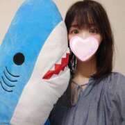 ヒメ日記 2026/06/05 06:18 投稿 たんぽぽ フォーシーズン