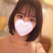 ヒメ日記 2026/06/18 20:48 投稿 たんぽぽ フォーシーズン