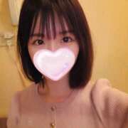 ヒメ日記 2026/06/29 06:18 投稿 たんぽぽ フォーシーズン