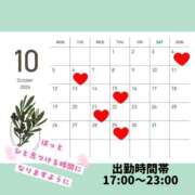 ヒメ日記 2026/09/23 22:08 投稿 たんぽぽ フォーシーズン