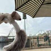 逢花　しいな 18時から❤️‍🔥 CUORE(クオレ)