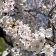 逢花　しいな 𝑻𝒉𝒂𝒏𝒌𝒔☺️💓 CUORE(クオレ)