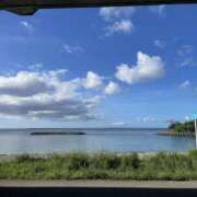 ヒメ日記 2025/09/18 14:52 投稿 さくら 川越ぽちゃまに