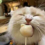 ヒメ日記 2025/10/23 18:22 投稿 さくら 川越ぽちゃまに