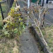 ヒメ日記 2025/05/18 15:49 投稿 みづき 人妻美人館