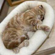 ヒメ日記 2025/11/08 10:19 投稿 みづき 人妻美人館