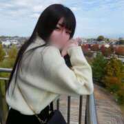 ヒメ日記 2025/03/16 22:46 投稿 かなん 今こそ!にゃんにゃん学園