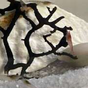 ヒメ日記 2025/08/07 20:47 投稿 うらら Grace東京