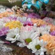 ヒメ日記 2025/04/07 17:09 投稿 西垣 鶯谷デッドボール