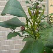 ヒメ日記 2025/04/19 12:49 投稿 西垣 鶯谷デッドボール