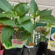 ヒメ日記 2025/04/28 14:14 投稿 西垣 鶯谷デッドボール