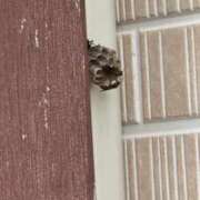 ヒメ日記 2025/06/24 16:09 投稿 西垣 鶯谷デッドボール