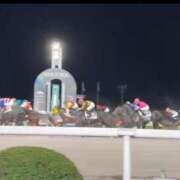 ヒメ日記 2025/08/14 16:49 投稿 西垣 鶯谷デッドボール