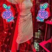 ヒメ日記 2025/11/23 09:57 投稿 西垣 鶯谷デッドボール