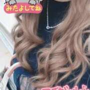 ヒメ日記 2025/11/24 17:09 投稿 西垣 鶯谷デッドボール