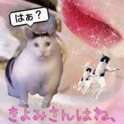 ヒメ日記 2025/07/29 21:55 投稿 きよみ AVANCE熊本