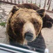 大石　いずみ おはようございます😊 ソープランド蜜 人妻・美熟女専門店