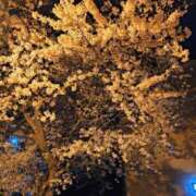 ヒメ日記 2026/04/28 07:12 投稿 大石　いずみ ソープランド蜜 人妻・美熟女専門店