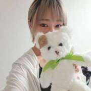 ヒメ日記 2025/08/07 09:24 投稿 ヒナゲシ 飾窓