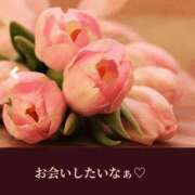 ヒメ日記 2025/03/07 15:08 投稿 ゆみえ 熟女の風俗アウトレット大垣安八羽島店