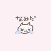 ヒメ日記 2026/02/09 13:09 投稿 りな チェリー