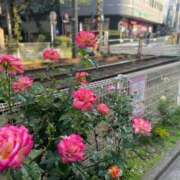 ヒメ日記 2026/01/20 12:15 投稿 わこ 大塚デリ姫