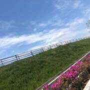 ヒメ日記 2026/02/12 13:31 投稿 わこ 大塚デリ姫