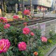 わこ 出勤 大塚デリ姫