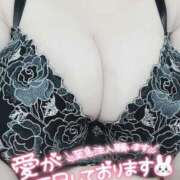 ヒメ日記 2025/03/14 12:41 投稿 ゆの ピーチハニー