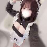 ヒメ日記 2025/04/19 00:34 投稿 あくあ E+アイドルスクール新宿・歌舞伎町店