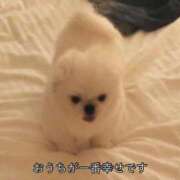 ヒメ日記 2025/07/07 13:34 投稿 あくあ E+アイドルスクール新宿・歌舞伎町店