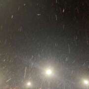 ヒメ日記 2024/12/13 21:13 投稿 ユリ あいらぶゆー