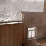 ヒメ日記 2024/12/14 12:13 投稿 ユリ あいらぶゆー