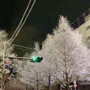 ヒメ日記 2025/01/09 22:08 投稿 ユリ あいらぶゆー