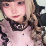 ヒメ日記 2024/12/30 19:48 投稿 ネネ あいらぶゆー