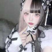 ヒメ日記 2025/02/12 19:33 投稿 ネネ あいらぶゆー