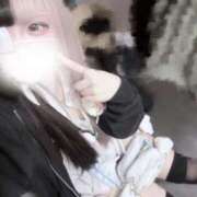 ヒメ日記 2025/02/18 17:18 投稿 ネネ あいらぶゆー