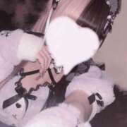 ヒメ日記 2025/02/18 17:44 投稿 ネネ あいらぶゆー