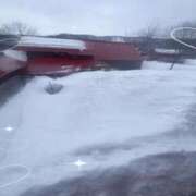 ヒメ日記 2025/03/06 15:18 投稿 ネネ あいらぶゆー