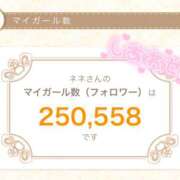 ヒメ日記 2025/06/26 08:41 投稿 ネネ あいらぶゆー