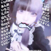 ヒメ日記 2025/06/26 11:48 投稿 ネネ あいらぶゆー