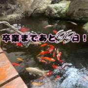 ヒメ日記 2025/10/26 03:50 投稿 ひふみ 上野添い寝女子