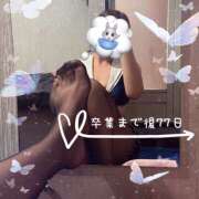 ヒメ日記 2025/11/17 21:26 投稿 ひふみ かりんとplus　上野御徒町