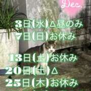 ヒメ日記 2025/11/30 22:30 投稿 ひふみ かりんとplus　上野御徒町