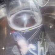 ヒメ日記 2025/02/17 11:08 投稿 シイナ あいらぶゆー