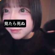 ヒメ日記 2025/03/29 02:58 投稿 シイナ あいらぶゆー